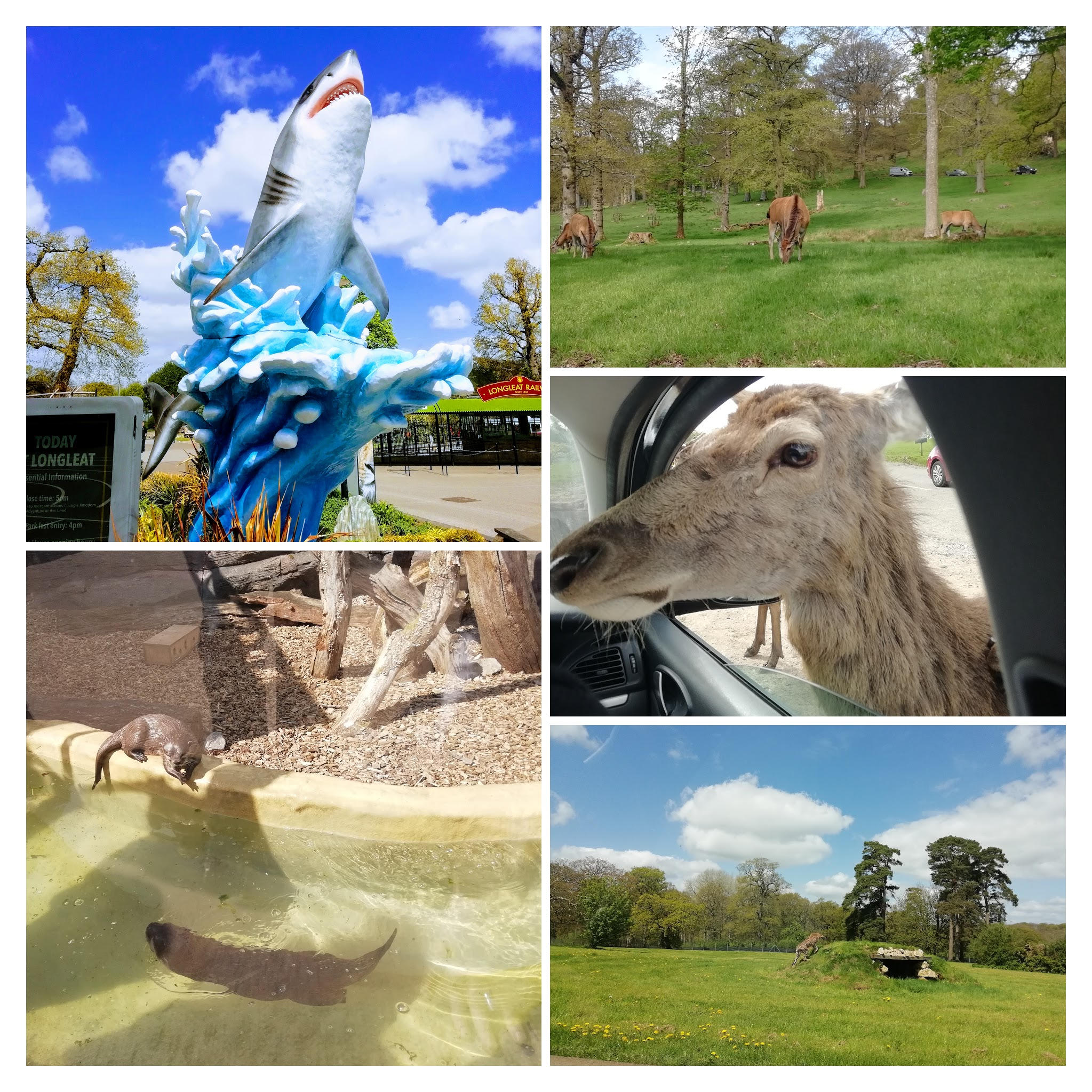 Longleat Safari & Adventure Park